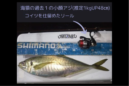 リールプレゼント企画