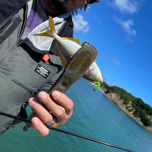 【アジング釣行記 三重県】FieldStaff 末光
