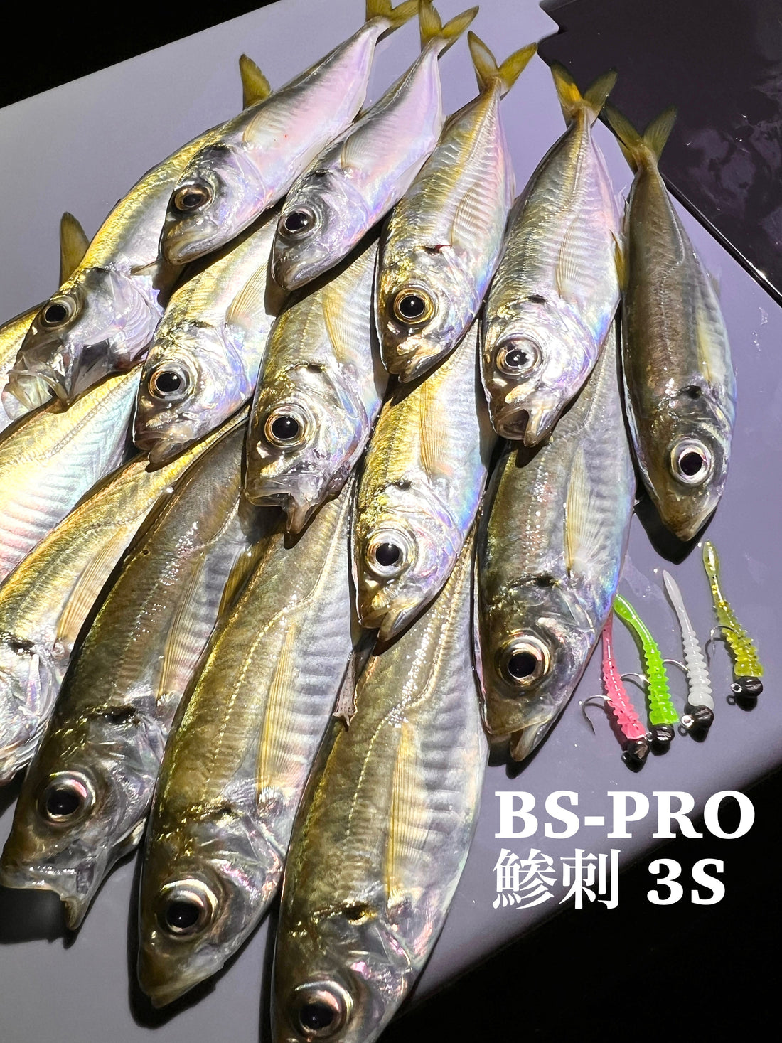 【アジング釣行記 和歌山県】FieldSupporter 松下