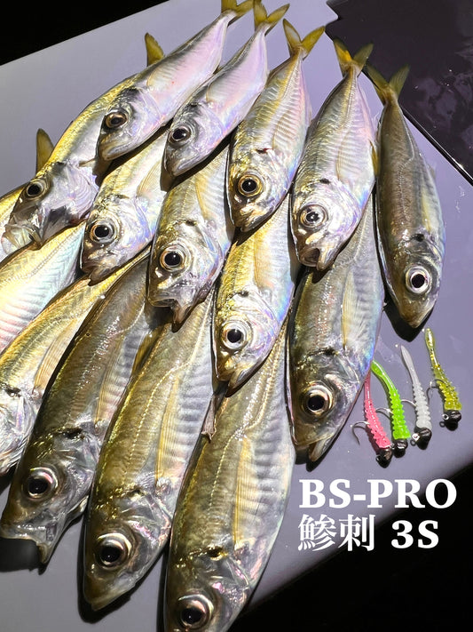 【アジング釣行記 和歌山県】FieldSupporter 松下
