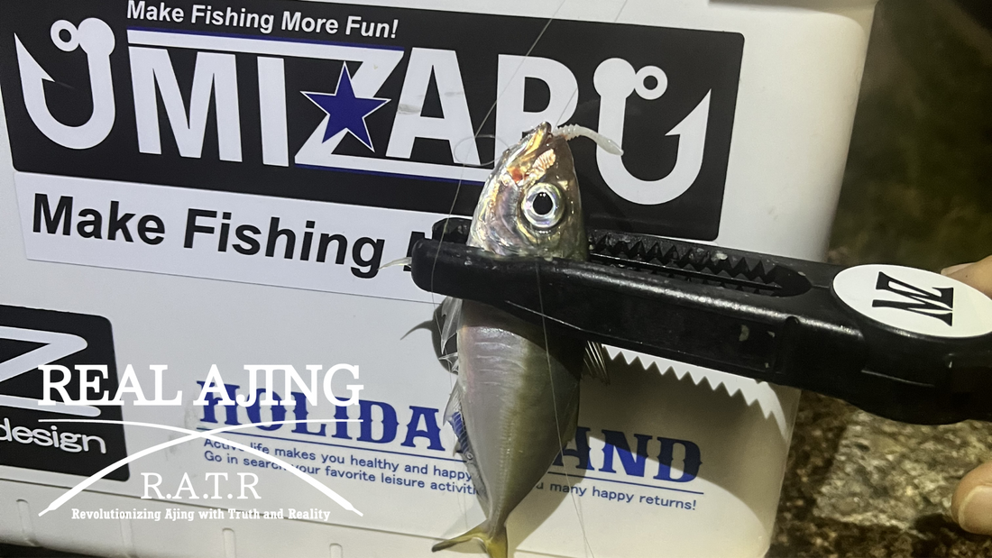 【アジング釣行記 大阪府】FieldMonitor 藤原