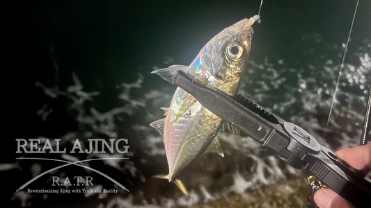 【アジング釣行記 広島県】FieldMonitor 藤原