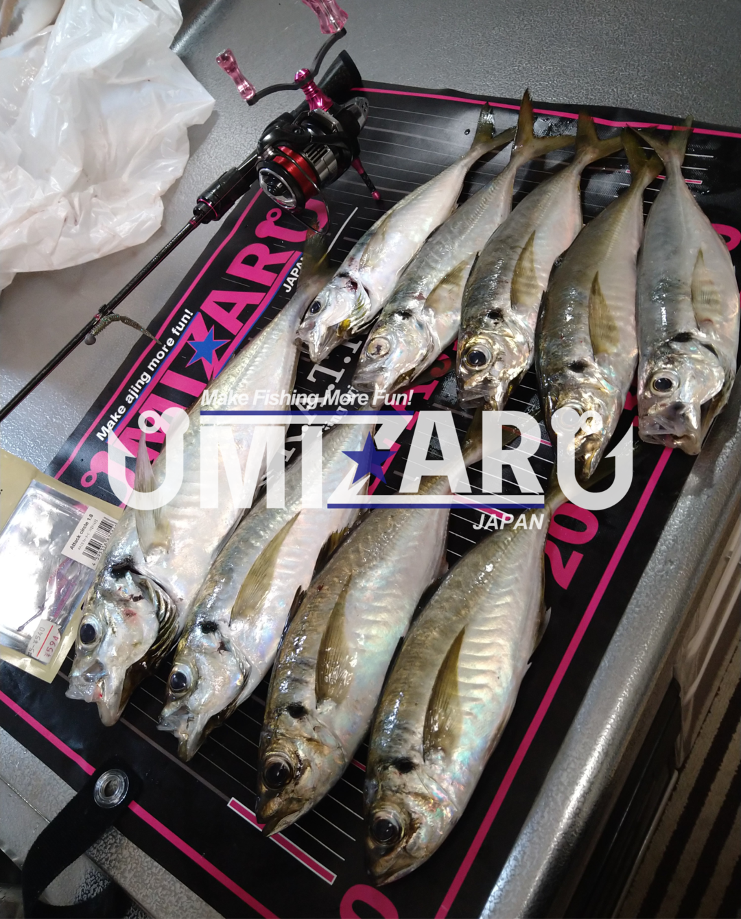 【アジング釣行記 山形県】FieldStaff 安藤