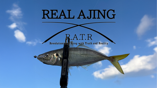 【アジング釣行記 佐賀県】FieldStaff 浦川