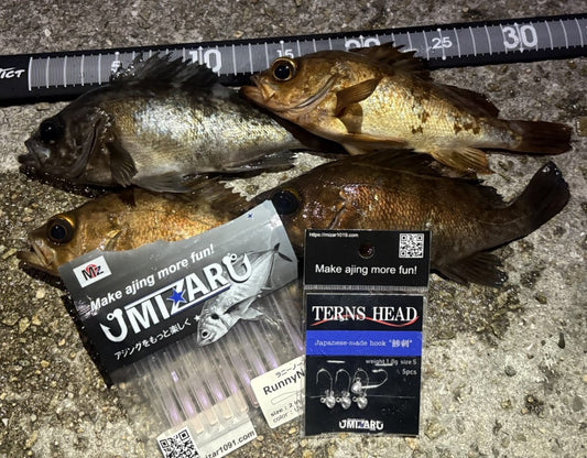 【兵庫メバリング】2026.03.21_Moniter 香川一馬