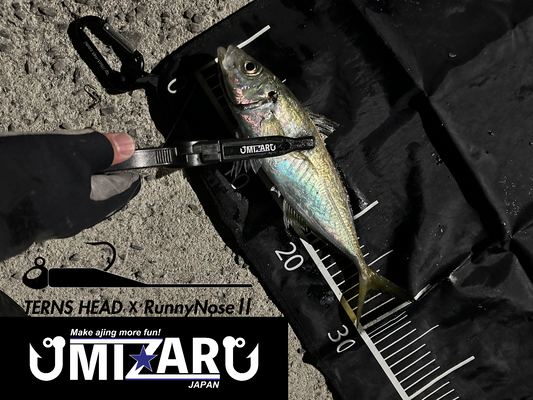 【愛媛アジング】2026.03.19_Moniter 福田修