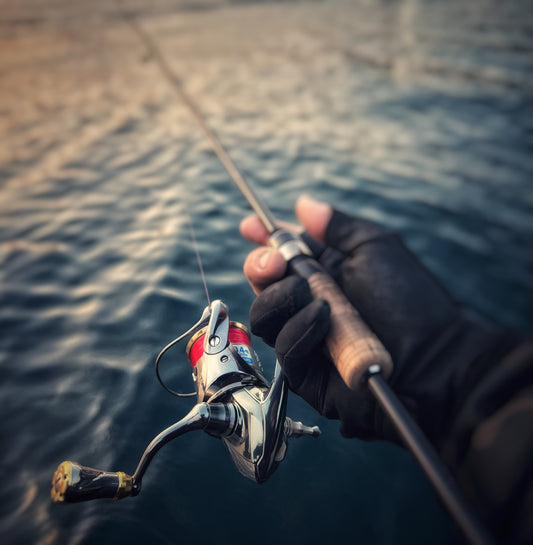 【和歌山アジング】2026.03.21_Field Crew 島田宗蔵