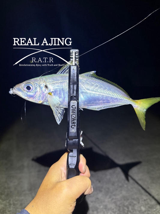 【アジング釣行記 佐賀県】FieldStaff 浦川