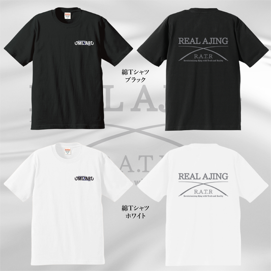 MZR 半袖 綿Tシャツ2025年モデル
